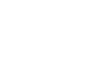 European Insight Research